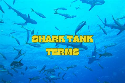 shark tank terms explained.
